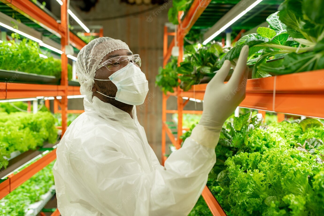 https://cfeconsultinginternationalcorporation.com/wp-content/uploads/2022/10/young-african-male-agroengineer-protective-workwear-looking-green-spinach-seedlings-touching-leaf-while-standing-aisle-by-shelf_274679-17326.jpg